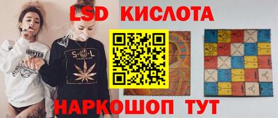 СК Новодвинск