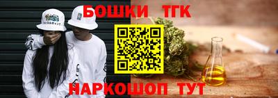 СК Новодвинск