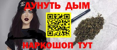 СК Новодвинск