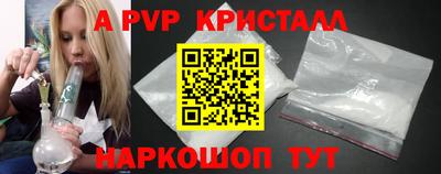 СК Новодвинск