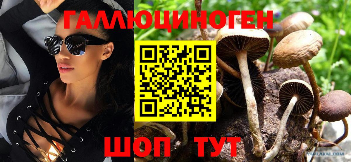Галлюциногенные грибы Cubensis Рубцовск